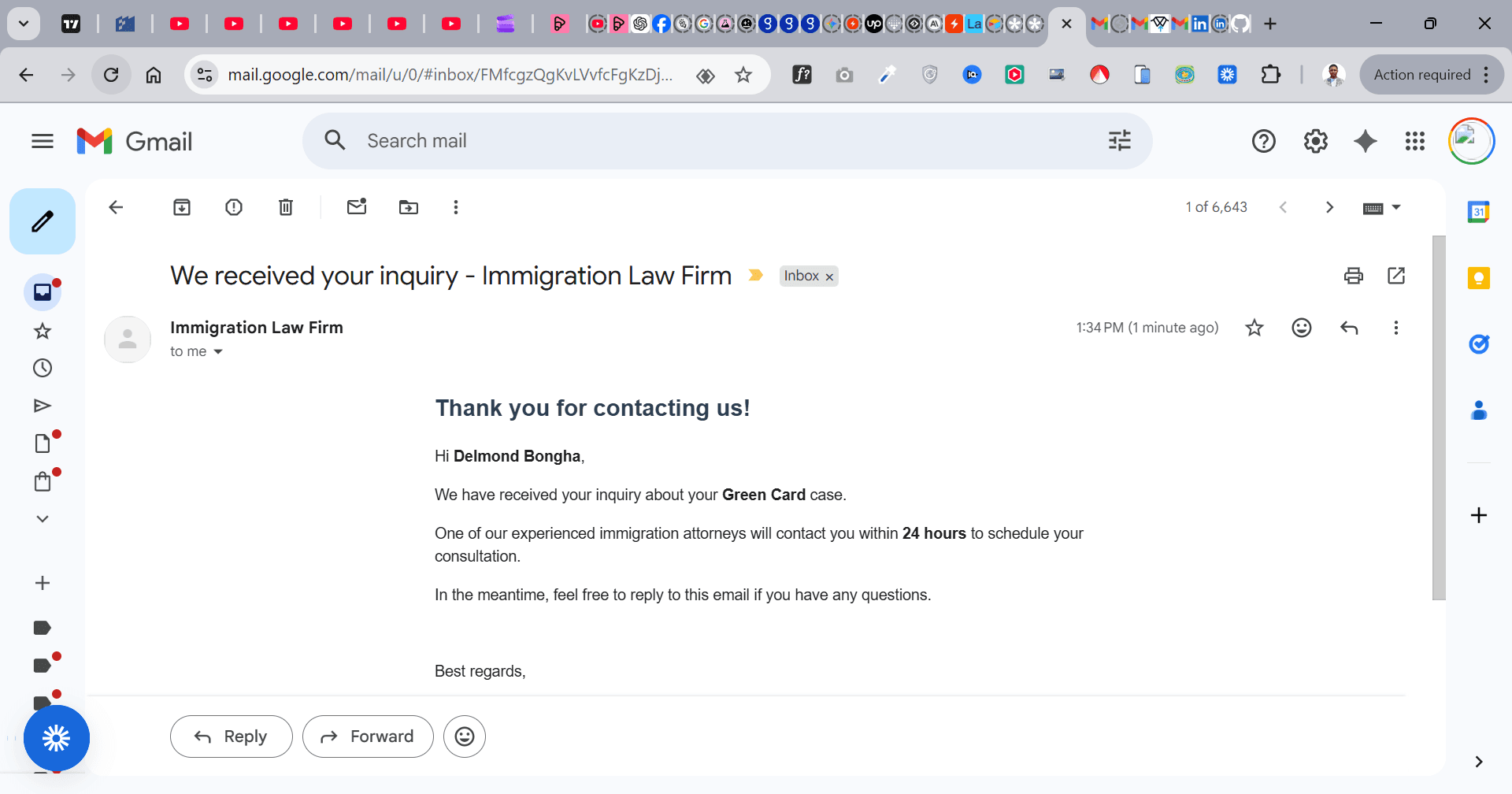 AI Immigration Assistant Chat